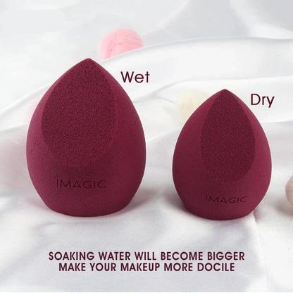 Two makeup sponges labeled 'Wet' and 'Dry' with text on a white background.