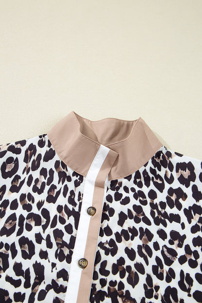 Multicolour Button Striped Collar Leopard Print Long Sleeve Flared Dress